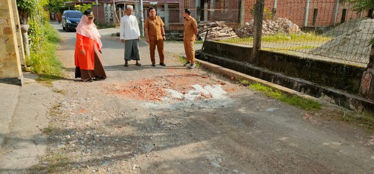 Tati Meutia Asmara Minta Dinas PUPR Perbaiki Jalan Berlubang di Gampong Lam Ara