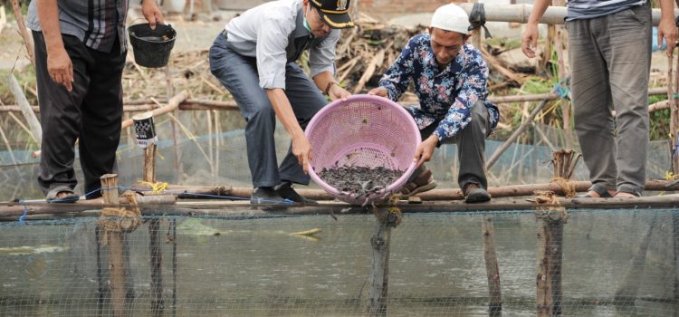 [FOTO]: Pelepasan Bibit Ikan Lele Milik Koperasi Meukulam Lambaro Skep