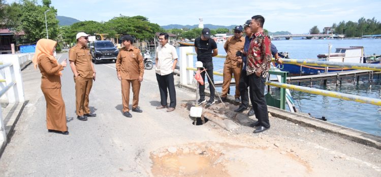 Dewan Minta Jembatan Ulee Lheue Dibangun Dengan Konsep Modern